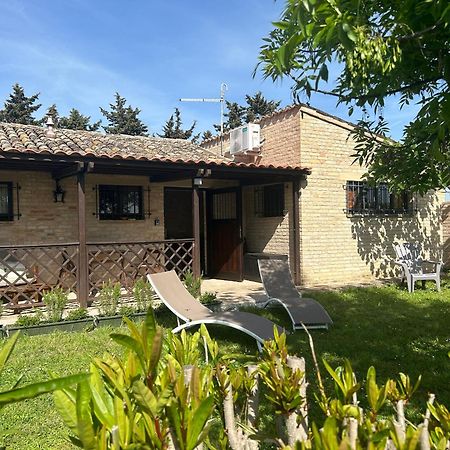 La Capparuccia Apartment Civitanova Marche Exterior foto